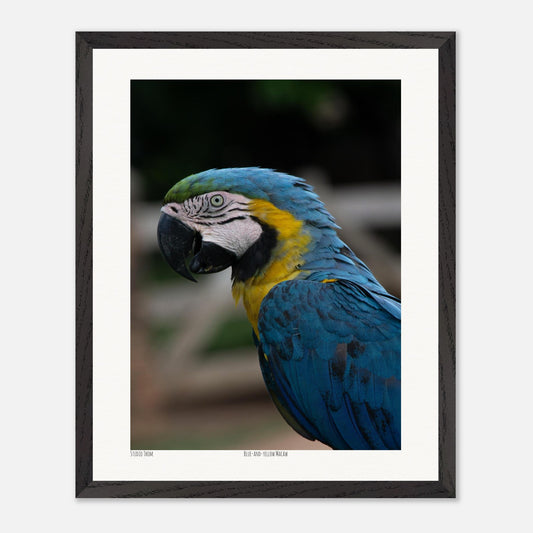 6286288f-bc08-42db-a002-508b2c5a149c