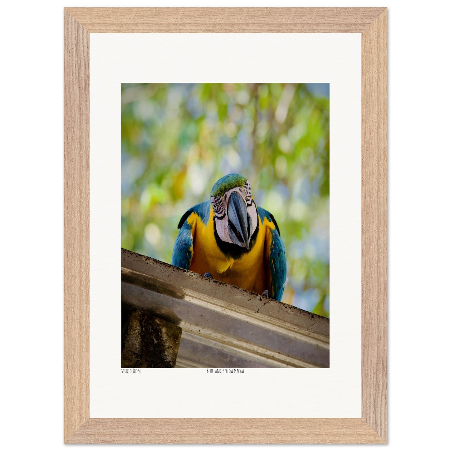 66c18755-7f72-4a91-91eb-79fd8824c5e9