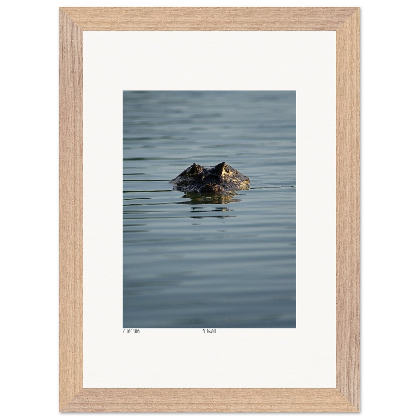 e706fa3c-3911-4299-b53d-49a0595acd4b