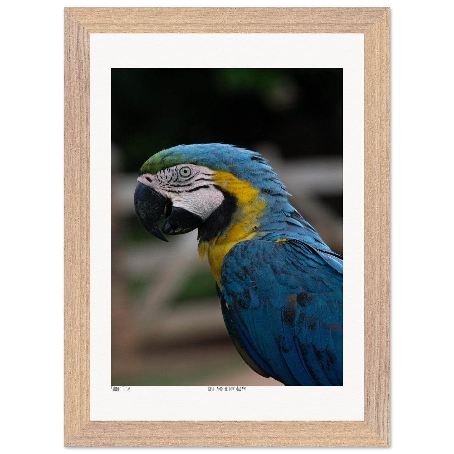 ebe105fc-cfbb-42d0-8209-6e58319658bf