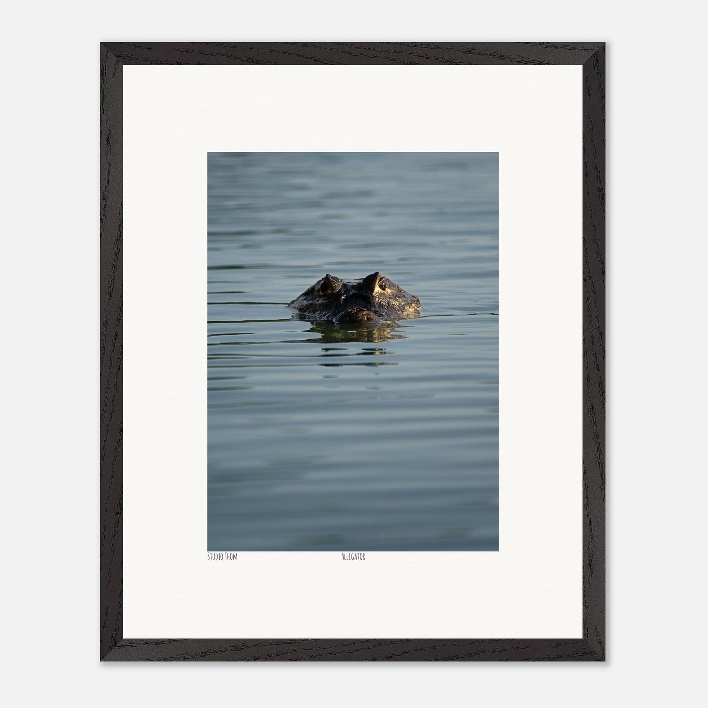 0de0336c-16f1-44c9-a3f1-e5152f480e98