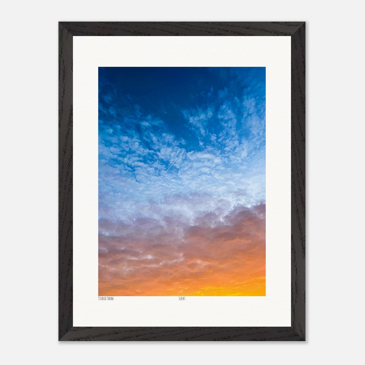 17aa9a41-fa64-4778-a60c-e9085266b991