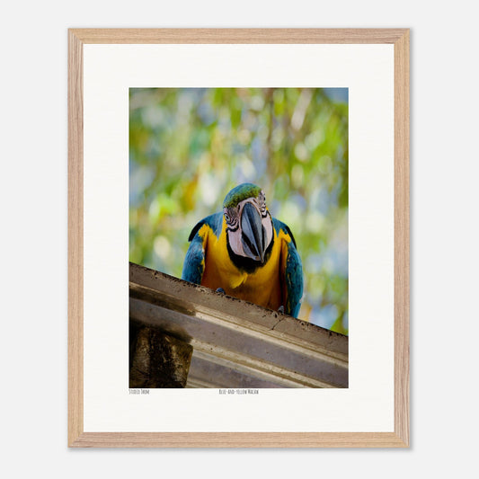 3ccfe393-6bde-44cf-95dc-43b54cf3568f