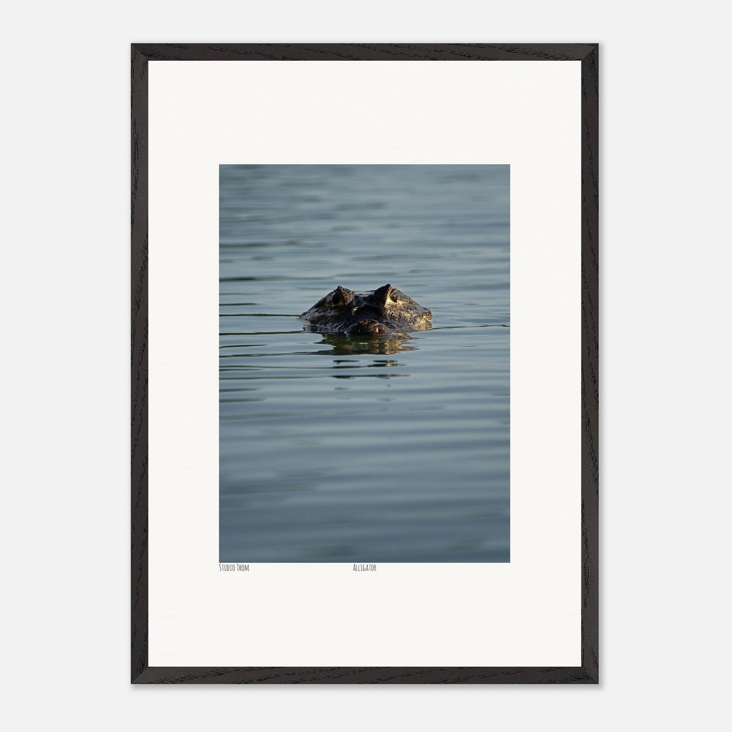 41131582-5521-4906-a4fd-5e6e1c8d48c4