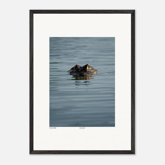 41131582-5521-4906-a4fd-5e6e1c8d48c4