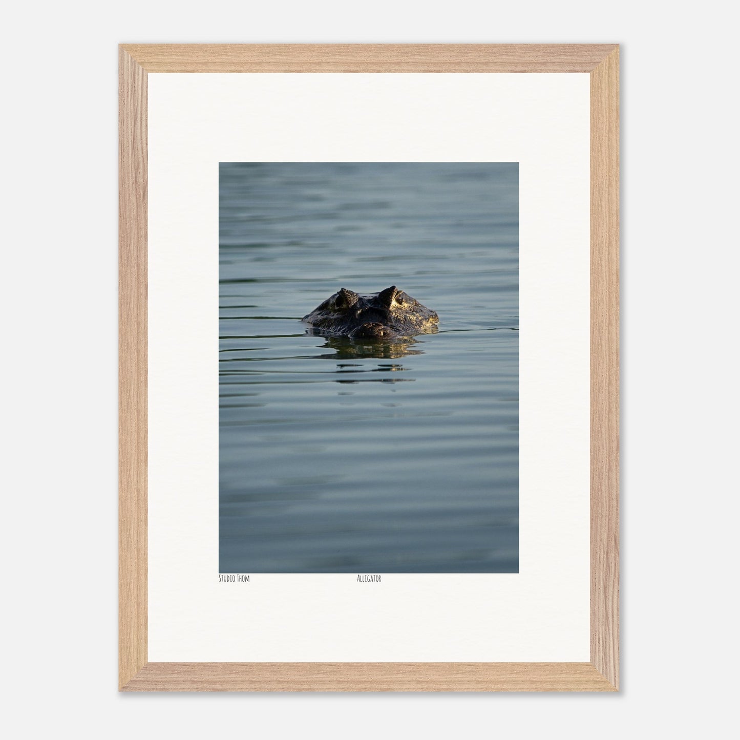 48b0fe8f-f199-411d-b3fe-42b94345cbe3