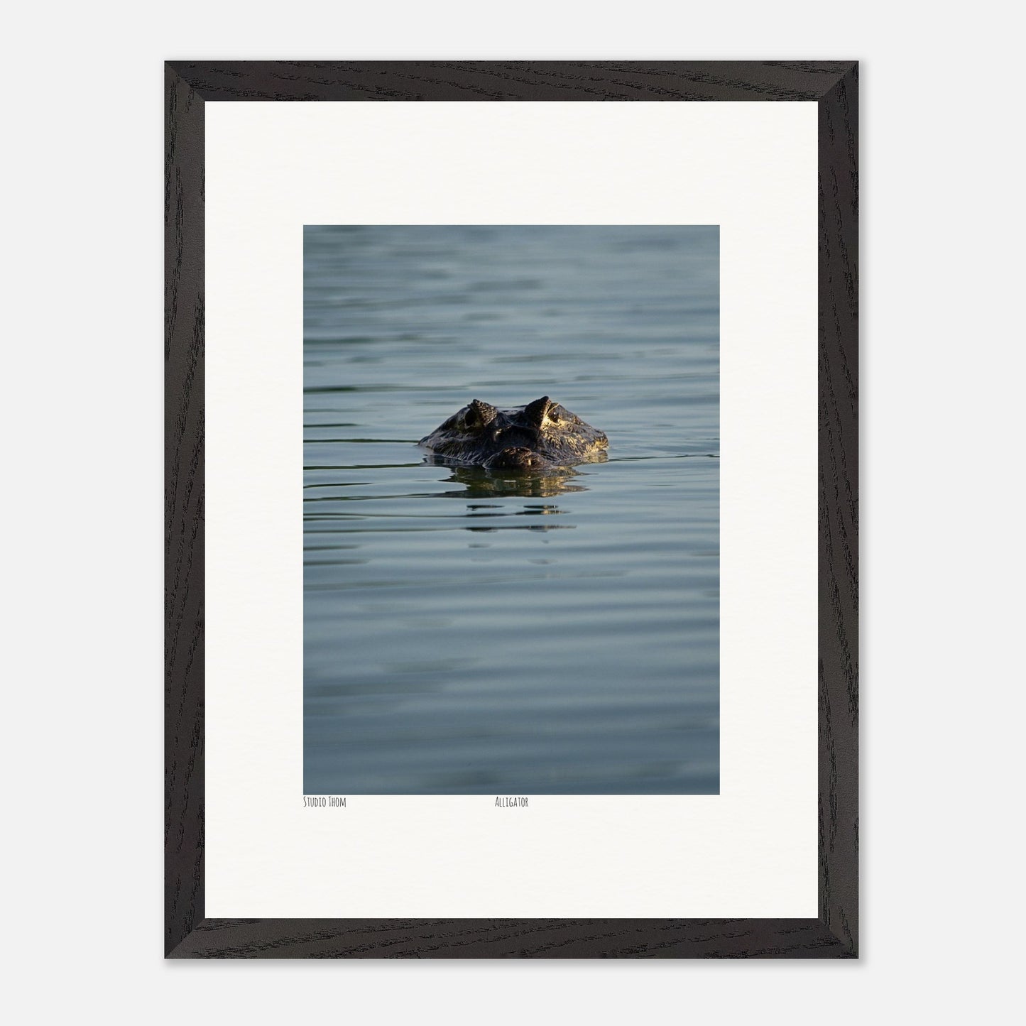 62ecb388-581c-4c85-bbb5-acaccc1a2c2e