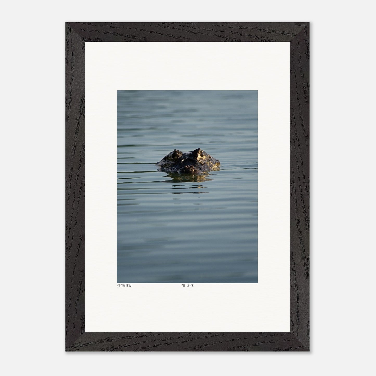 6859ccbc-42aa-4e27-983d-81980717a496