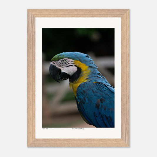 91c94ceb-0751-478f-8aeb-c96c5a8b63d8