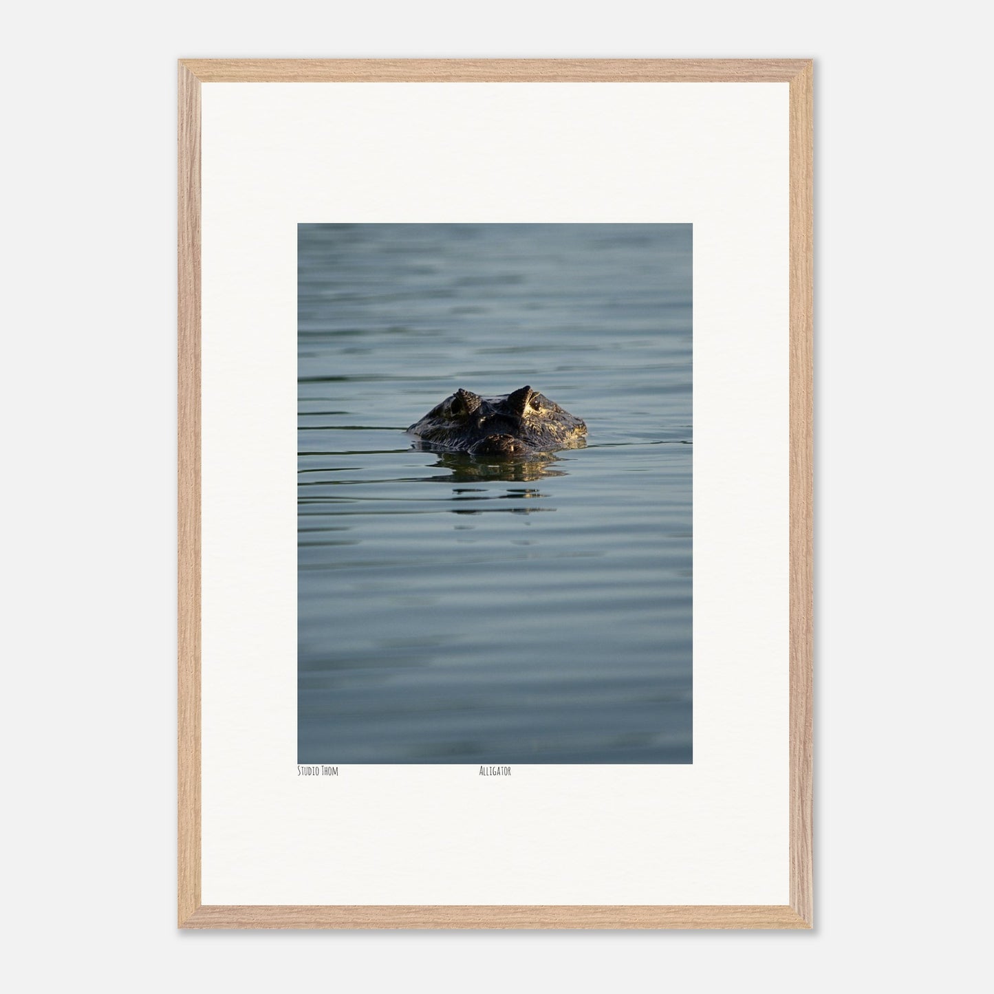 b0233a51-a6b9-46a1-8613-e98abc300efe