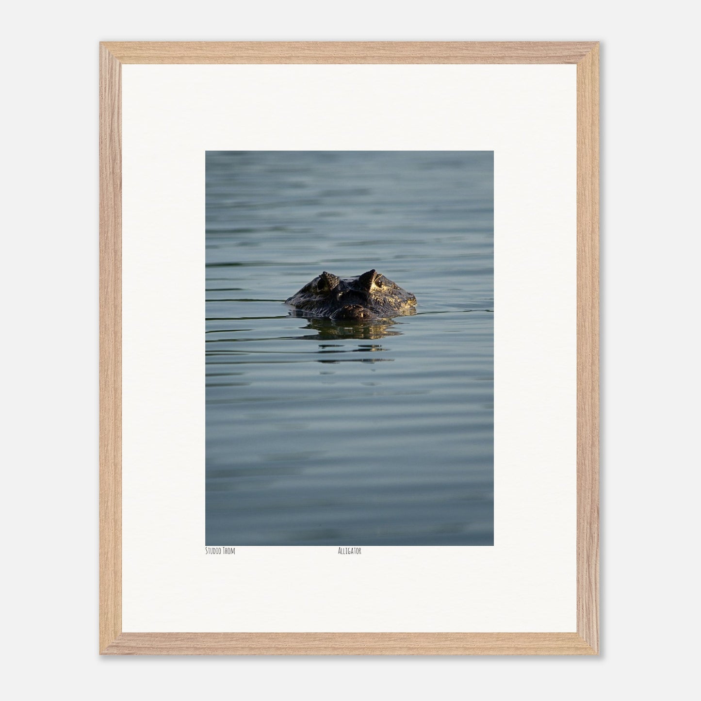 b60a15e4-f71d-41b9-a255-e926e06f16a6