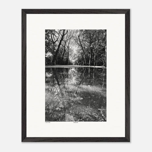 ea1184f6-4180-4e0e-9348-a46c5b2a8e51