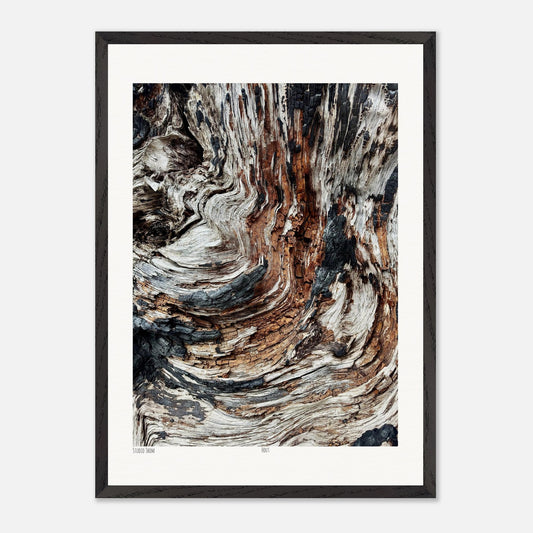 ee62e2a2-d970-4060-aa6e-67c8f18af59b