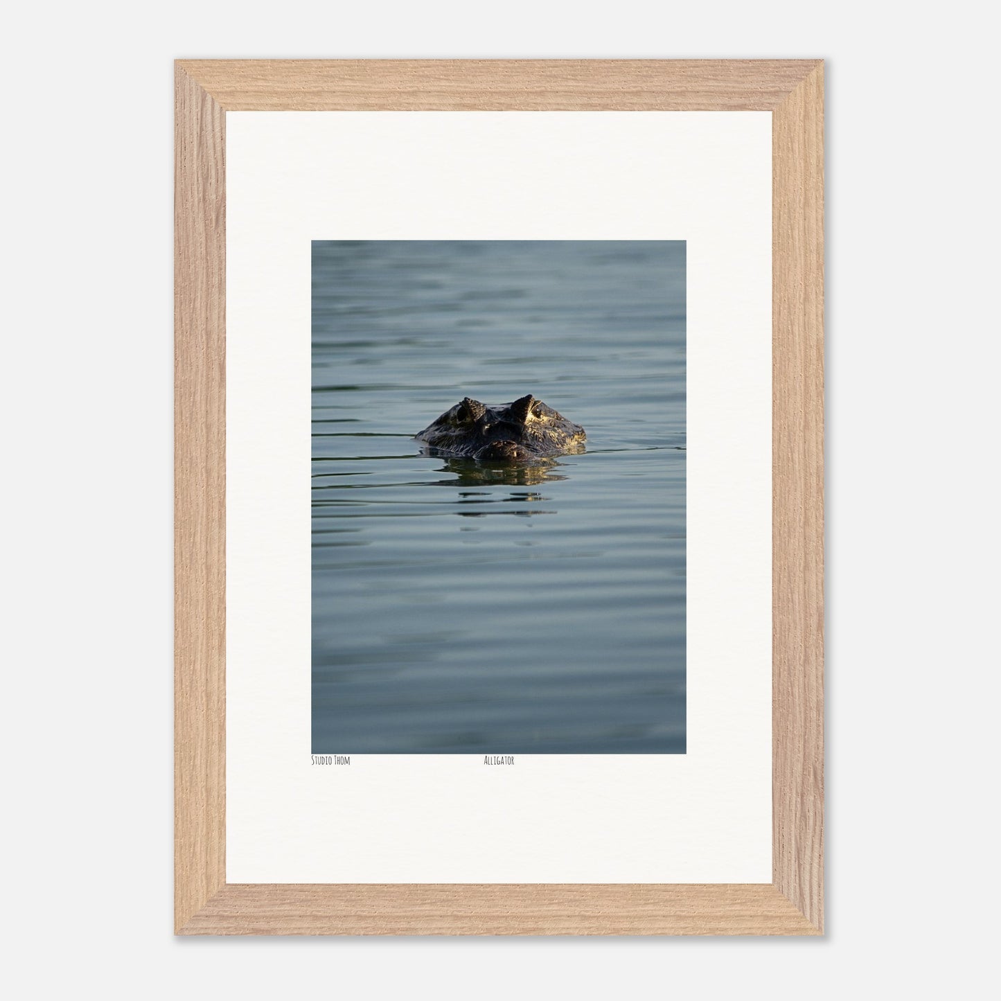 f7e1dd7e-7364-43c7-ab20-3128c1159815