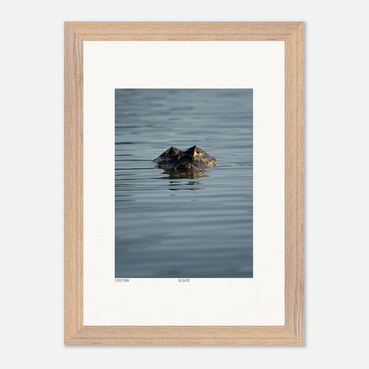 f7e1dd7e-7364-43c7-ab20-3128c1159815